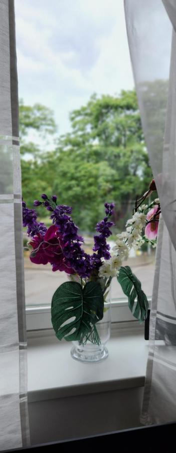 Elena Flat Orchidee Duisburg Zentrum Extérieur photo