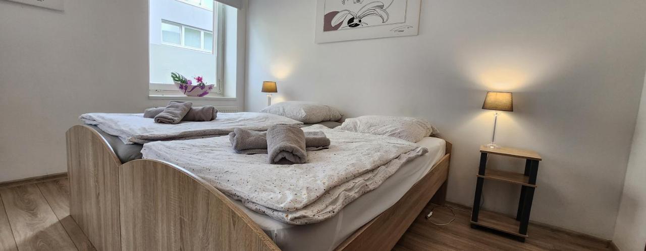 Elena Flat Orchidee Duisburg Zentrum Extérieur photo
