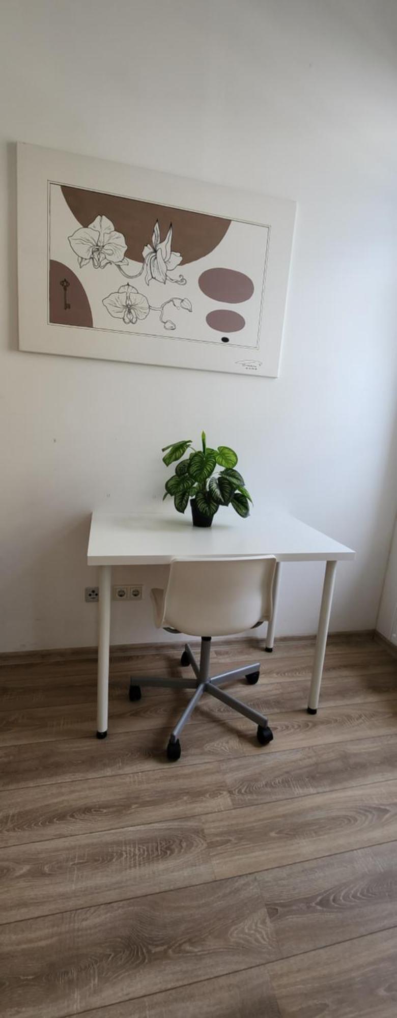Elena Flat Orchidee Duisburg Zentrum Extérieur photo
