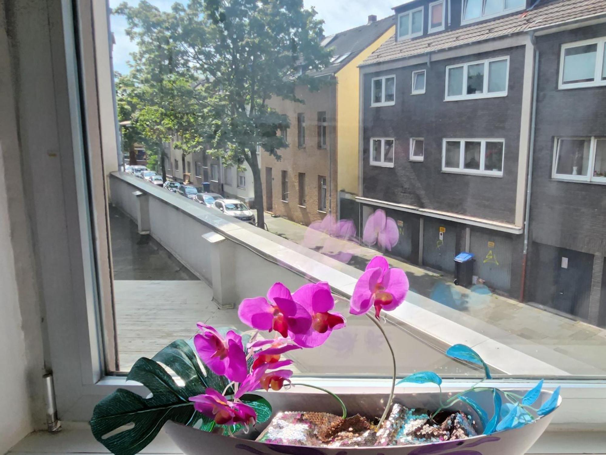 Elena Flat Orchidee Duisburg Zentrum Extérieur photo